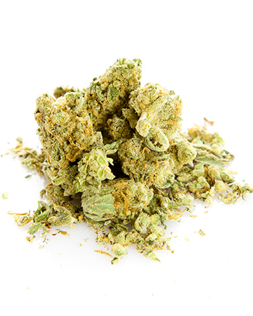Buy Northern Lights Auto