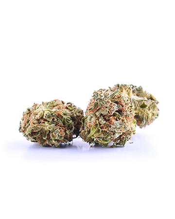 Buy Tangerine Dream Auto