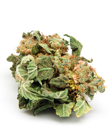 Buy Afghan Auto