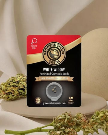 White Widow Photoperiod Seeds
