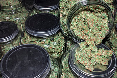 drying cannabis jars
