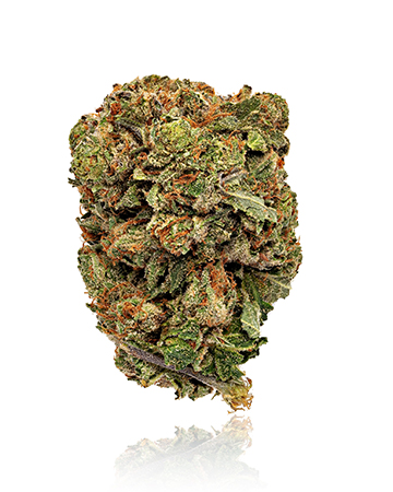 Buy Blueberry Kush Seeds