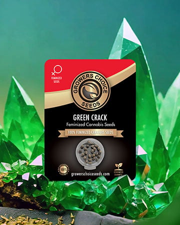 green crack cannabis seeds