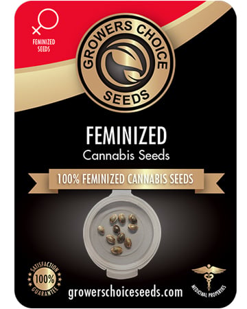 Buy Acapulco Gold Seeds
