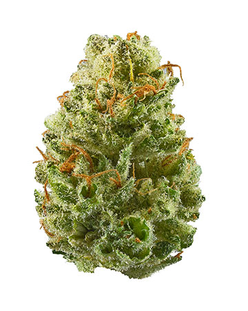 Buy Strawberry Cough