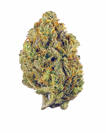 Buy Super Lemon Haze