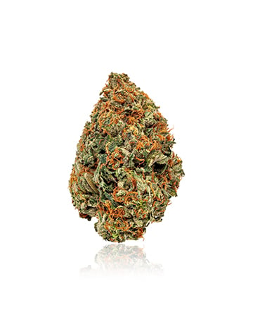 Buy Banana OG Seeds