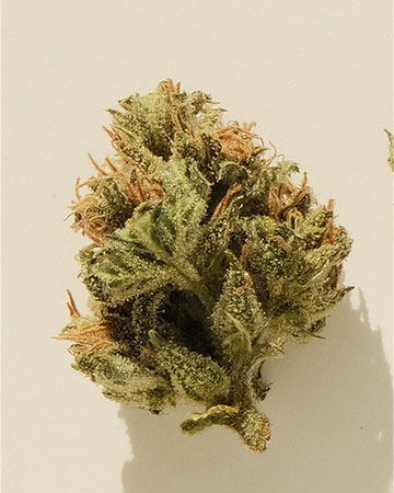Buy Kosher Kush