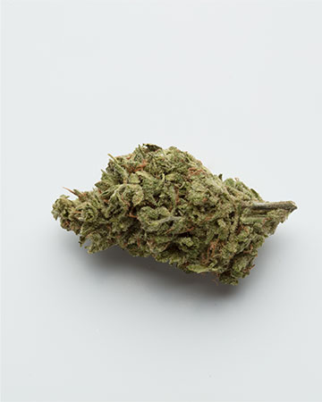 Buy Skunk Seeds Feminized