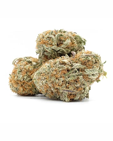 Buy G13 Cannabis