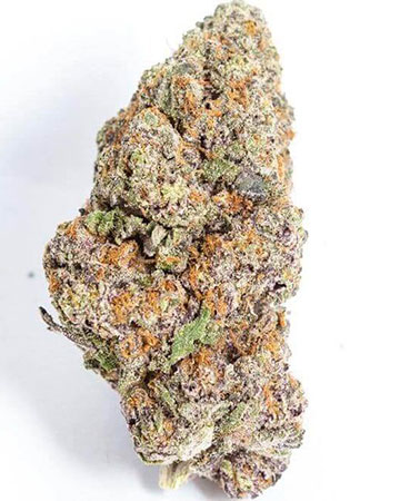 Buy White Rhino