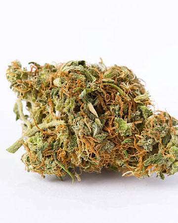 Buy Lemon Kush