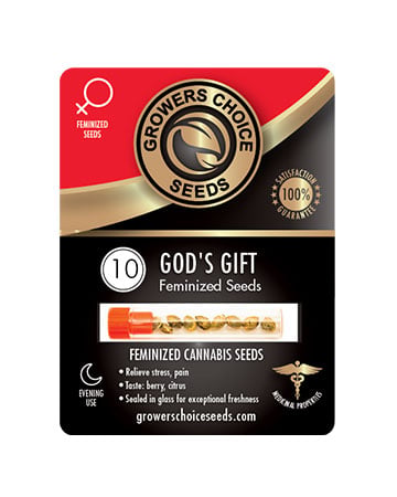 Buy High THC Combo Pack