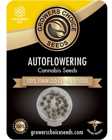 Buy White Widow Auto
