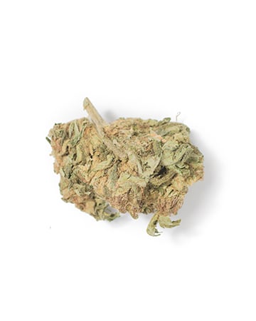 Buy Lemon Skunk Auto