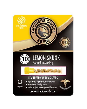 Buy Best Beginner Combo Pack of Grower Choice Seeds