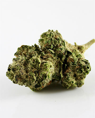 Buy Ghost Train Haze
