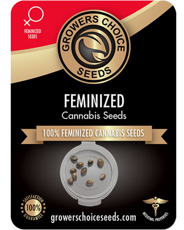 Buy Valentine X CBD