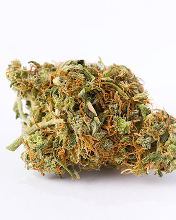 Buy Platinum Kush