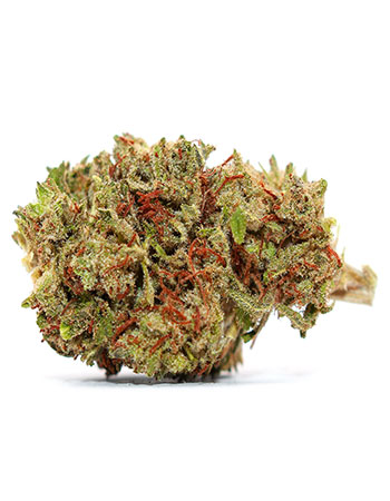 Buy Suzy Q CBD