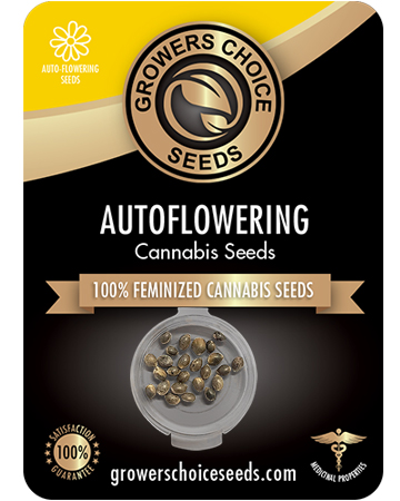Buy Purple Sour Diesel Auto