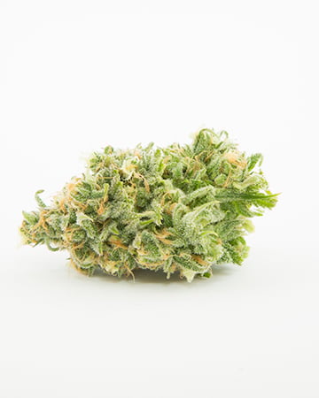 Buy Purple Sour Diesel Auto