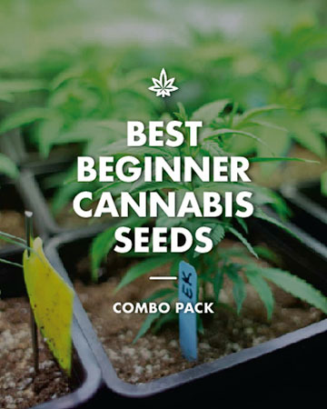 Buy Best Beginner Combo Pack of Grower Choice Seeds
