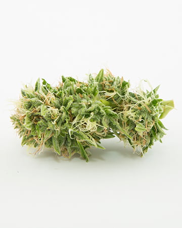 Buy Quantum Kush Auto