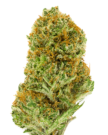 Buy California Orange Auto