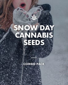 Buy Snow Day Combo Pack