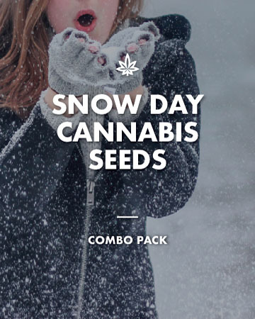 Buy Snow Day Combo Pack