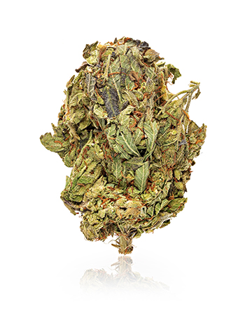 Buy Blueberry Skunk
