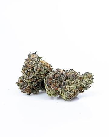 Buy Glass Slipper Auto