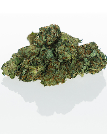 Buy Violator Kush Auto