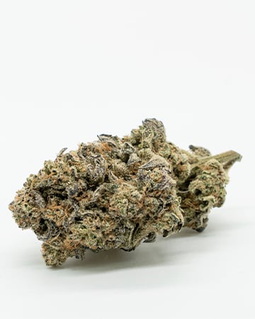 Buy Jedi Kush Auto