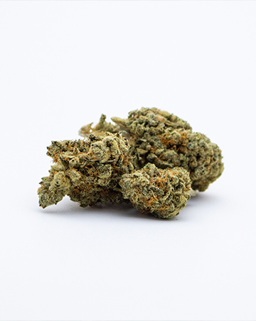 Buy Jesus OG Auto