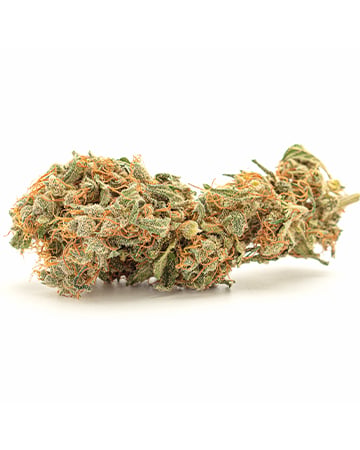 Buy Ripped Bubba Auto