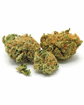 Buy White Rhino Auto
