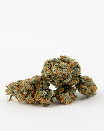 Buy Cataract Kush Auto