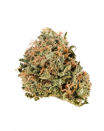 Buy Silver Kush Auto