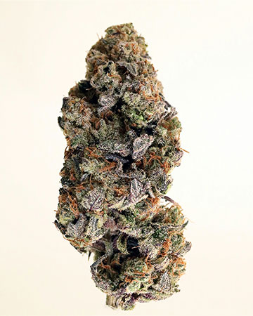 Buy Purple Hindu Kush