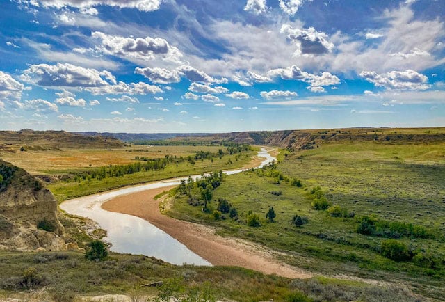 buy cannabis seeds in North Dakota