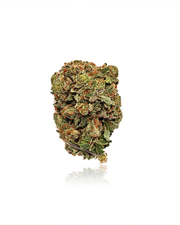 Buy Mac 1 Auto