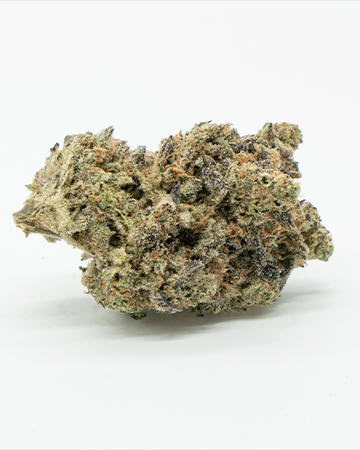 Buy Tropicana Cookies Auto