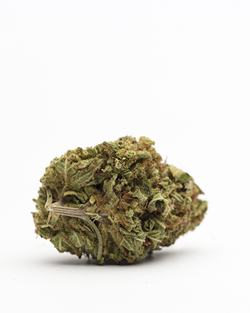 Buy Blue Cookies Auto