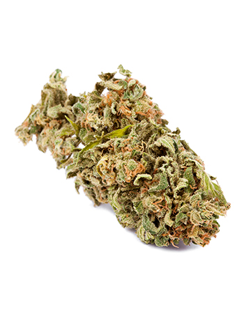 Buy Albino Kush
