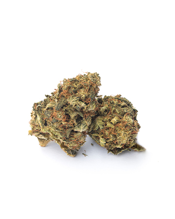 Buy Stardawg Auto