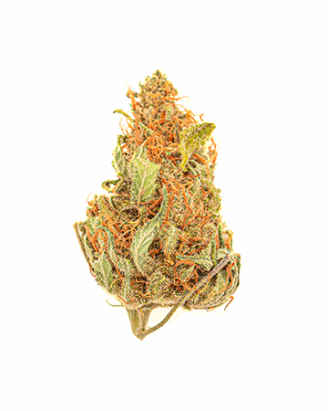 Buy Strawberry Kush Auto