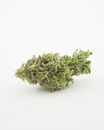 Buy Purple Lemonade Auto
