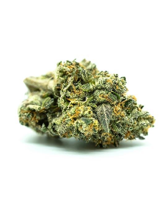 Buy Neville’s Haze Feminized Seeds